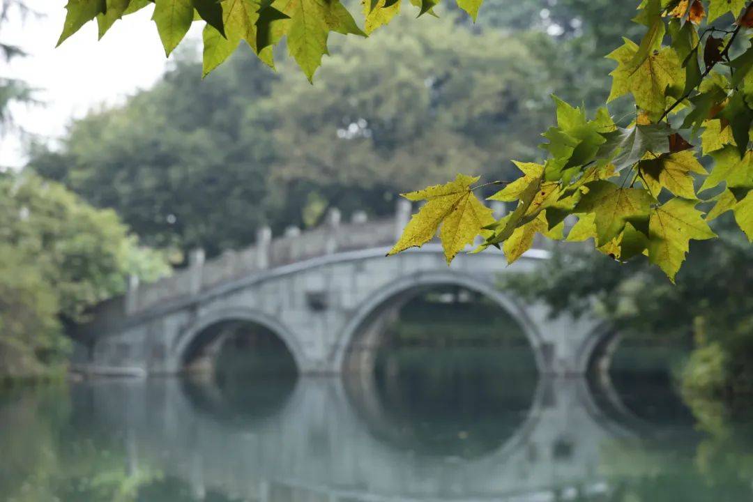 热到破纪录？杭州或直冲29℃！这天起有转折，大风降雨降温都要来-第2张图片-太平洋在线下载