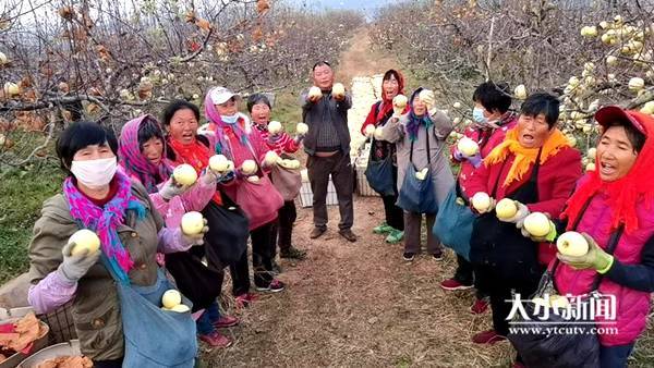 苹果产业园采摘开园新闻豆腐产业园开园仪式新闻稿最新-第2张图片-太平洋在线下载