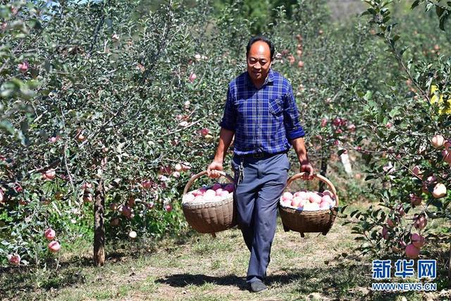 河南扶贫系统苹果版河南省精准扶贫信息管理平台登录入口-第2张图片-太平洋在线下载