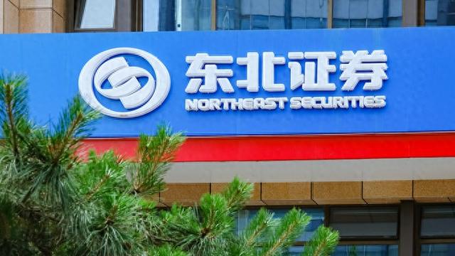 东北证券app下载手机版苹果版(东北证券下载网址)-第2张图片-有道翻译官网