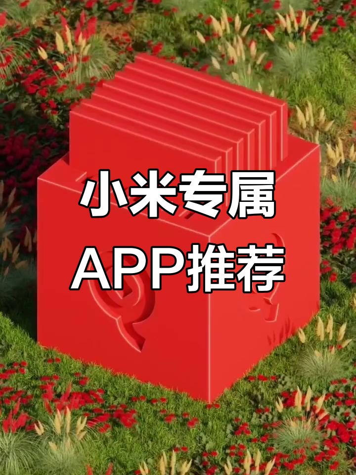 小米商店苹果版app(小米 app store)-第12张图片-有道翻译官网