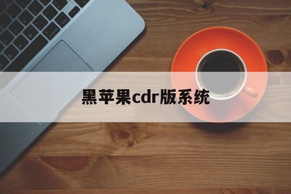 黑苹果cdr版系统(黑苹果cdr u盘安装教程)-第3张图片-有道翻译官网 黑苹果cdr版系统(黑苹果cdr u盘安装教程)-第3张图片-有道翻译官网