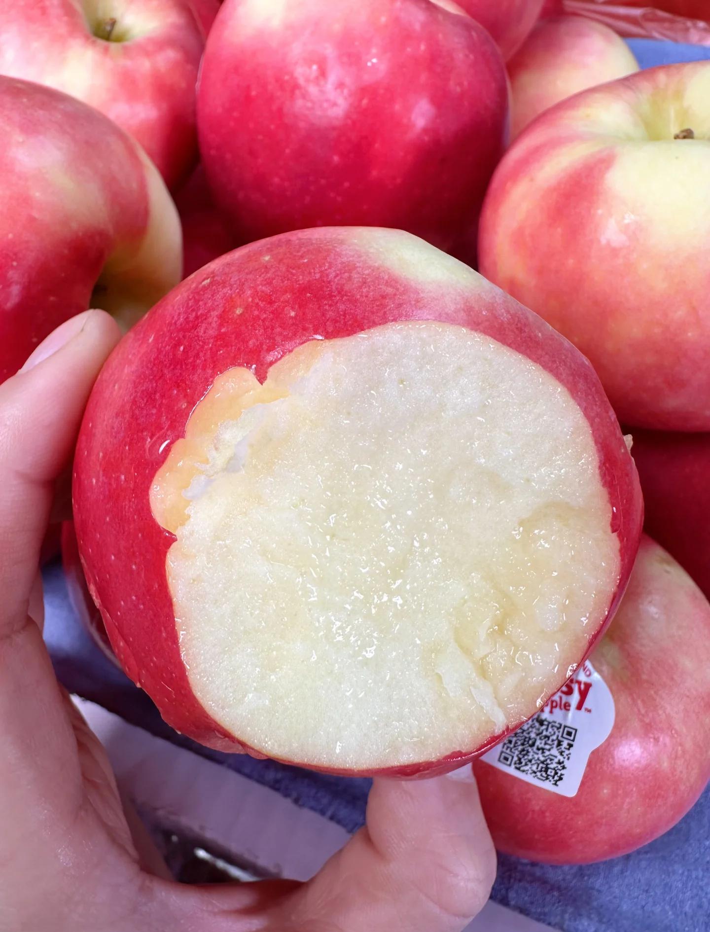 us版苹果是啥(iphoneus版是什么)-第4张图片-有道翻译官网