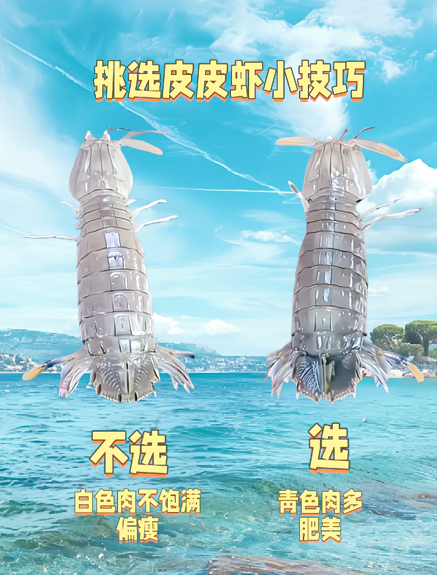 苹果网页版虾皮(虾皮ios为什么登不进去账号)-第3张图片-有道翻译官网