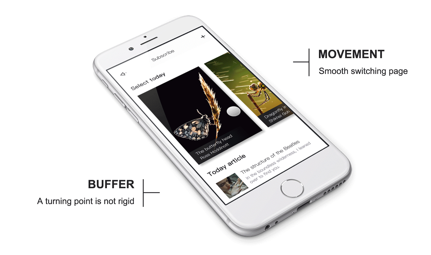 昆虫鉴别app苹果版(昆虫识别app官方下载)-第2张图片-有道翻译官网 昆虫鉴别app苹果版(昆虫识别app官方下载)-第2张图片-有道翻译官网