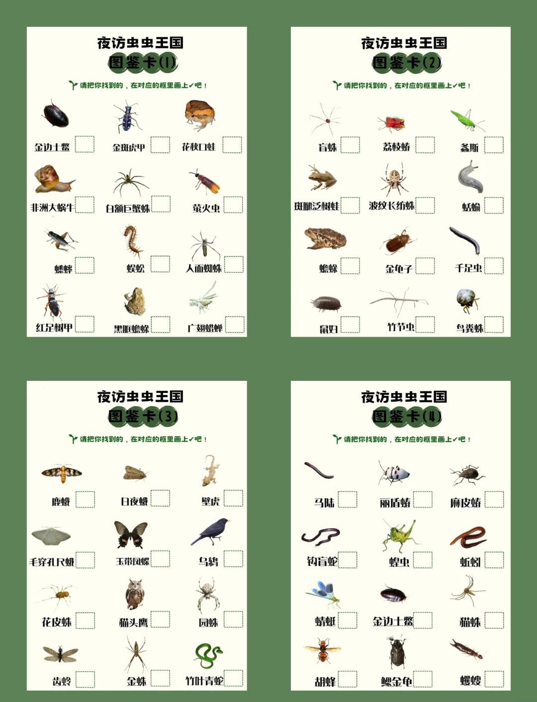 昆虫鉴别app苹果版(昆虫识别app官方下载)-第7张图片-有道翻译官网 昆虫鉴别app苹果版(昆虫识别app官方下载)-第7张图片-有道翻译官网